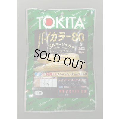 画像1: 送料無料　[とうもろこし]　ミルキーシュガーバイカラー80　150粒　トキタ種苗(株)