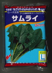 [ほうれんそう]　サムライ　3万粒（種子サイズ：L）　渡辺農事（株）