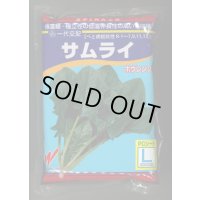 [ほうれんそう]　サムライ　3万粒（種子サイズ：L）　渡辺農事（株）