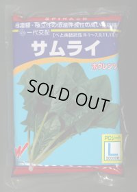 [ほうれんそう]　サムライ　3万粒（種子サイズ：L）　渡辺農事（株）