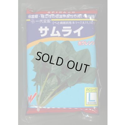 画像1: [ほうれんそう]　サムライ　3万粒（種子サイズ：L）　渡辺農事（株）