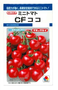 送料無料　[トマト/ミニトマト]　CFココ　16粒　タキイ種苗　DF
