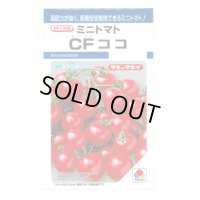 [トマト/ミニトマト] CFココ 16粒 タキイ種苗 DF