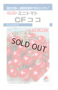 [トマト/ミニトマト] CFココ 16粒 タキイ種苗 DF