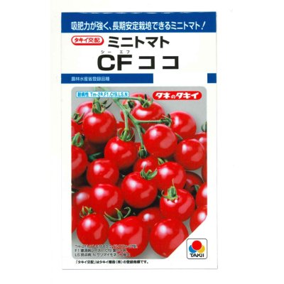 画像1: 送料無料　[トマト/ミニトマト]　CFココ　16粒　タキイ種苗　DF