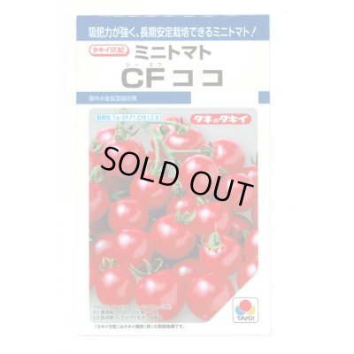 画像1: [トマト/ミニトマト] CFココ 16粒 タキイ種苗 DF