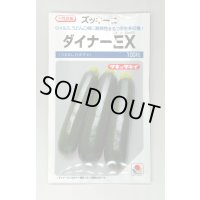 送料無料　[ズッキーニ]　ダイナーEX　100粒　タキイ種苗（株）