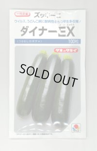 送料無料　[ズッキーニ]　ダイナーEX　100粒　タキイ種苗（株）