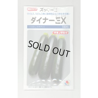 画像1: [ズッキーニ] ダイナーEX 100粒 タキイ種苗（株）