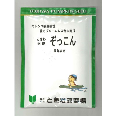 画像1: 送料無料　[台木/キュウリ用]　ぞっこん　350粒　(株)ときわ研究場