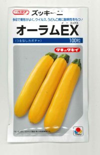 送料無料　[ズッキーニ]　オーラムEX　100粒　タキイ種苗（株）