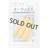 送料無料　[ズッキーニ]　オーラムEX　100粒　タキイ種苗（株）
