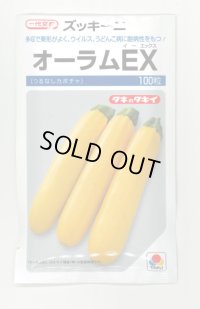 送料無料　[ズッキーニ]　オーラムEX　100粒　タキイ種苗（株）