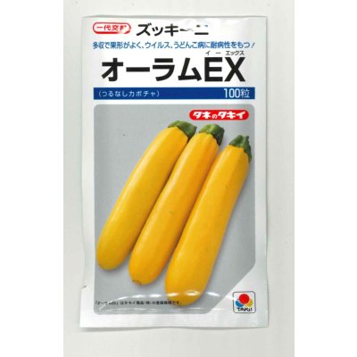 画像1: 送料無料　[ズッキーニ]　オーラムEX　100粒　タキイ種苗（株）