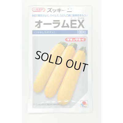 画像1: [ズッキーニ] オーラムEX 100粒 タキイ種苗（株）