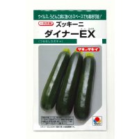 送料無料　[ズッキーニ]　ダイナーEX　10粒　タキイ種苗(株)　GF