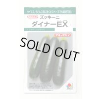 送料無料　[ズッキーニ]　ダイナーEX　10粒　タキイ種苗(株)　GF