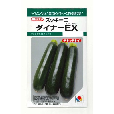画像1: 送料無料　[ズッキーニ]　ダイナーEX　10粒　タキイ種苗(株)　GF
