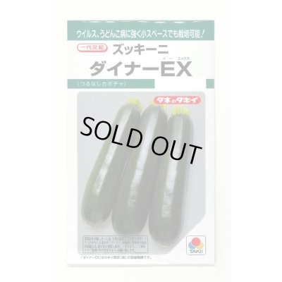 画像1: 送料無料　[ズッキーニ]　ダイナーEX　10粒　タキイ種苗(株)　GF