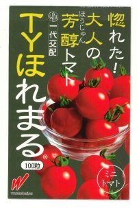 送料無料　[トマト/ミニトマト]　TYほれまる　100粒　渡辺農事（株）