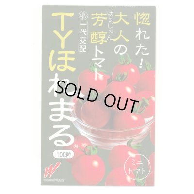 画像1: [トマト/ミニトマト] TYほれまる 100粒 渡辺農事（株）