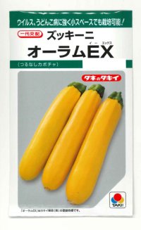 送料無料　[ズッキーニ]　オーラムEX　10粒　タキイ種苗(株)　GF