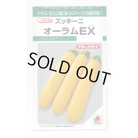 送料無料　[ズッキーニ]　オーラムEX　10粒　タキイ種苗(株)　GF