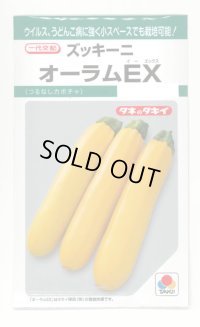 送料無料　[ズッキーニ]　オーラムEX　10粒　タキイ種苗(株)　GF