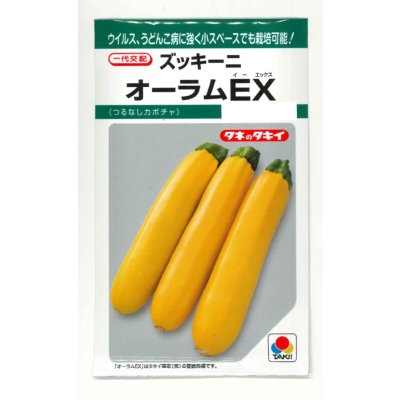 画像1: 送料無料　[ズッキーニ]　オーラムEX　10粒　タキイ種苗(株)　GF