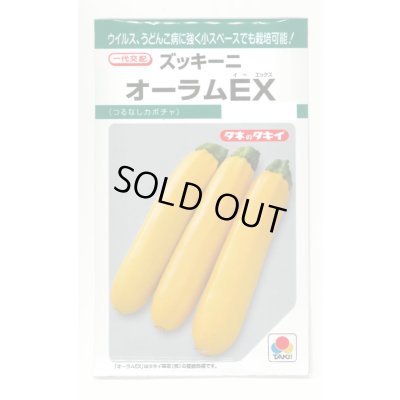 画像1: 送料無料　[ズッキーニ]　オーラムEX　10粒　タキイ種苗(株)　GF