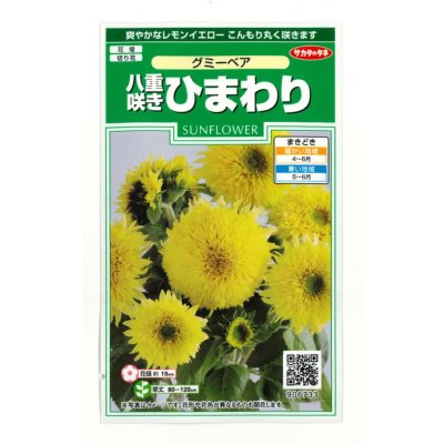 画像1: 送料無料　花の種　ひまわり　グミーベア　約20粒　（株）サカタのタネ　実咲250（206036）
