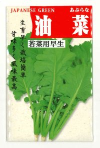 送料無料　油菜　8ml　(株)タカヤマシード
