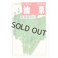 油菜 8ml (株)タカヤマシード