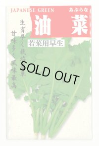 油菜 8ml (株)タカヤマシード