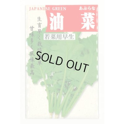 画像1: 油菜 8ml (株)タカヤマシード
