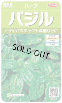 [ハーブの種] バジル約1500粒 (株)サカタのタネ 実咲250(003187)