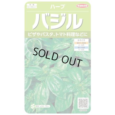 画像1: [ハーブの種] バジル約1500粒 (株)サカタのタネ 実咲250(003187)