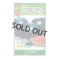 [スイカ] 小玉スイカ いつつぼしブラック 7粒 （株）大和農園