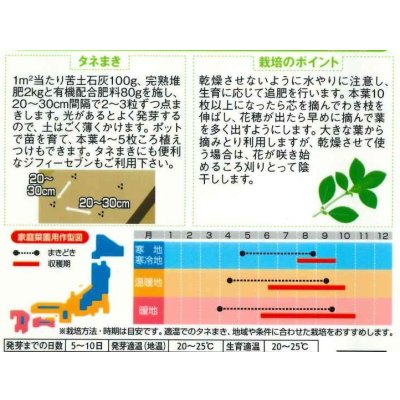 画像2: 送料無料　[ハーブの種]　バジル約1500粒    (株)サカタのタネ 実咲（003187）