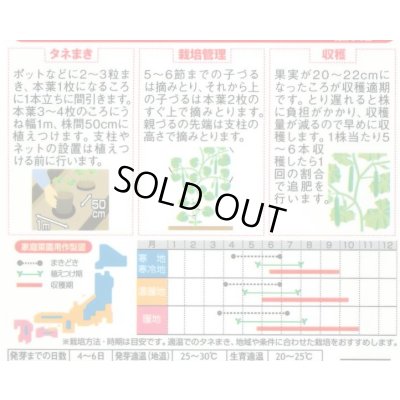 画像2: [キュウリ] ずーっとフリーダム 12粒(株)サカタのタネ 実咲450(204459)