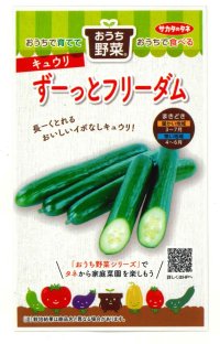 送料無料　[キュウリ]　ずーっとフリーダム　12粒(株)サカタのタネ 実咲450（204459）
