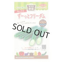 送料無料　[キュウリ]　ずーっとフリーダム　12粒(株)サカタのタネ 実咲450（204459）