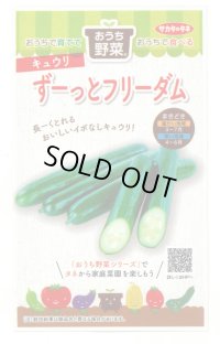 送料無料　[キュウリ]　ずーっとフリーダム　12粒(株)サカタのタネ 実咲450（204459）