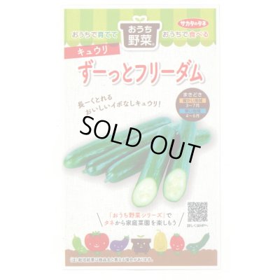 画像1: [キュウリ] ずーっとフリーダム 12粒(株)サカタのタネ 実咲450(204459)