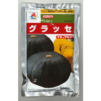 画像1: 送料無料 [かぼちゃ] グラッセ 500粒 タキイ種苗