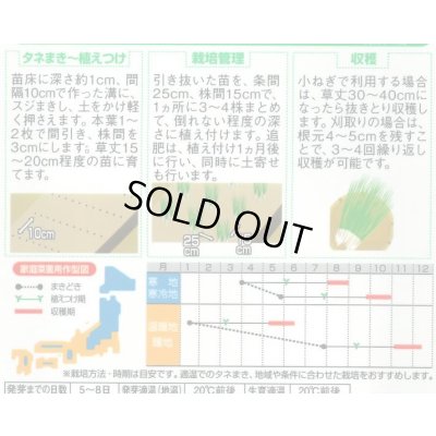 画像5: 送料無料 [ねぎ] 小ねぎ すさまる 小袋（約2000粒）（株）サカタのタネ　実咲204463