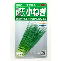 送料無料 [ねぎ] 小ねぎ すさまる 小袋（約2000粒）（株）サカタのタネ　実咲204463