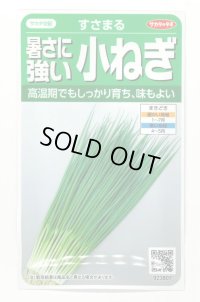 送料無料 [ねぎ] 小ねぎ すさまる 小袋（約2000粒）（株）サカタのタネ　実咲204463