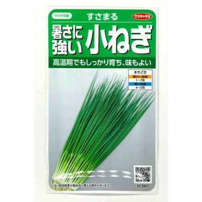 画像1: 送料無料 [ねぎ] 小ねぎ すさまる 小袋（約2000粒）（株）サカタのタネ　実咲204463