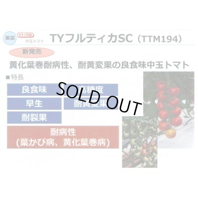 画像3: 送料無料　[トマト/中玉トマト]　TYフルティカSC　1000粒　タキイ種苗(株)